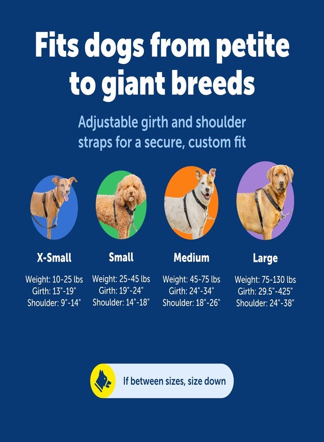 بيت سيف حزام صدر للكلاب 3 في 1 من بيت سيف - حزام صدر مريح وسهل المشي مع مشبك أمامي للرباط لتقليل الشد والاختناق والتقيؤ - معدات تدريب الكلاب على الطاعة - متوسط - أسود - Image 5